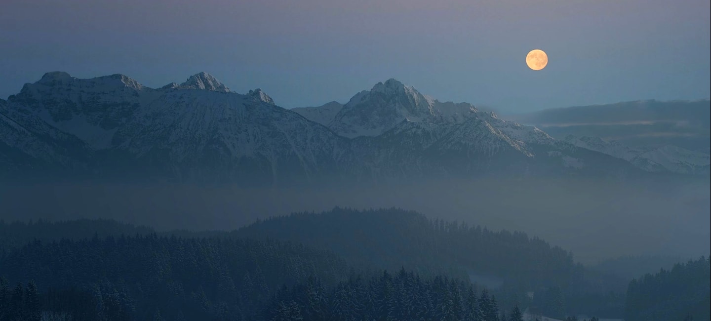 florest and mountain under the light of the full moon